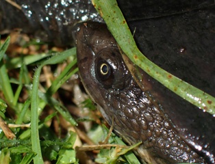 PB040829a.jpg